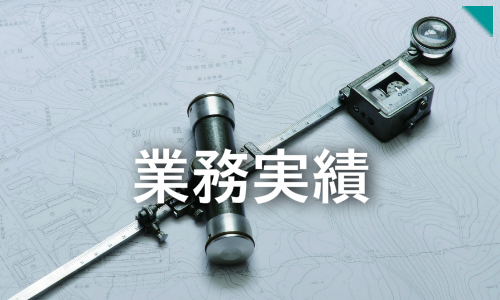 事業実績