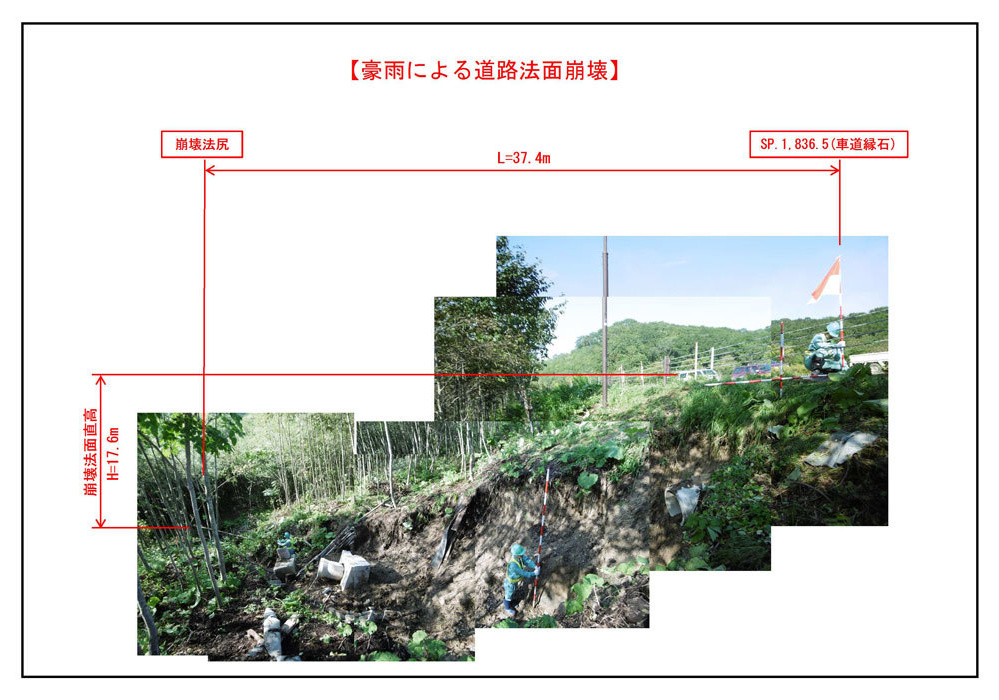 災害調査