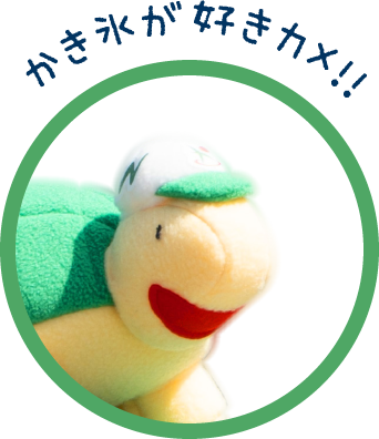 かき氷が好きカメ!!